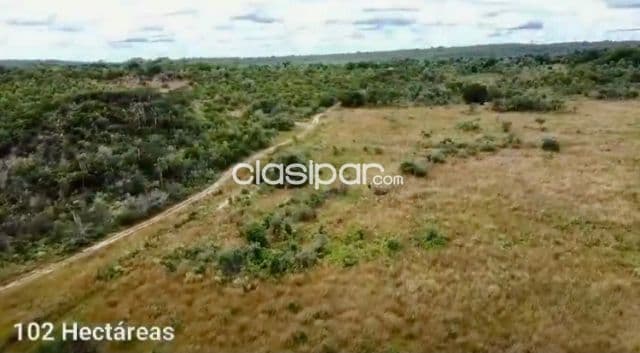 102 hectareas de campo en nueva colombia