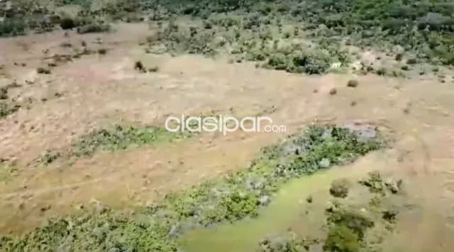 102 hectareas de campo en nueva colombia — foto 3