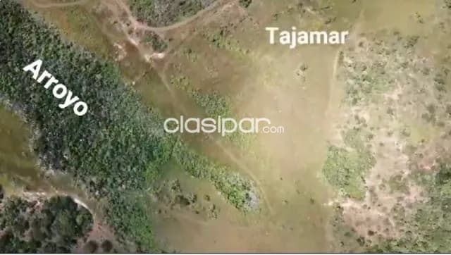 102 hectareas de campo en nueva colombia — foto 4