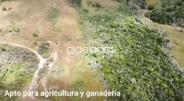 102 hectareas de campo en nueva colombia — foto 5