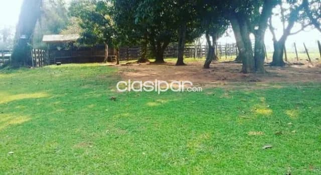 Campo Agrícola/Ganadero en Caazapa - 223 Ha, foto 3