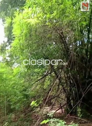 Terreno en atyra, foto 5
