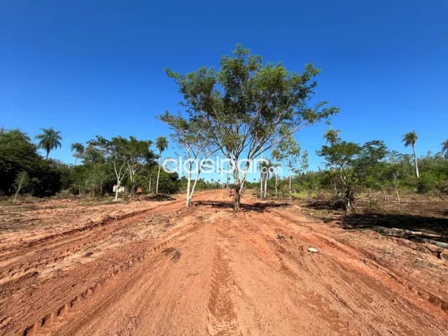 Lotes a Cuotas en Eusebio Ayala ,Barrero Grande, foto 3