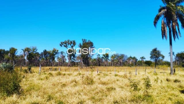 Campo Ganadero/Industrial en Villeta sobre Ruta - 182 Ha — foto 1