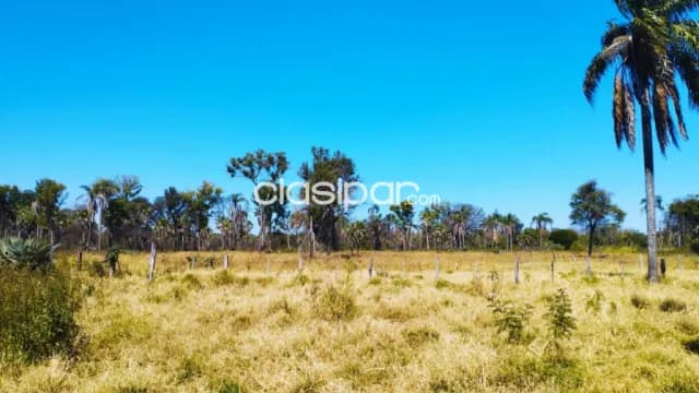 Campo Ganadero/Industrial en Villeta sobre Ruta - 182 Ha — foto 2