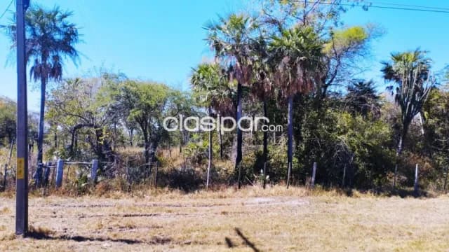 Campo Ganadero/Industrial en Villeta sobre Ruta - 182 Ha — foto 4