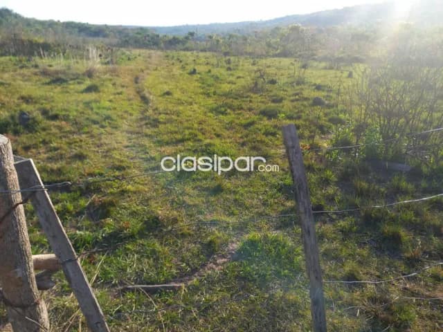 Campo Agrícola/Ganadero en Nueva Colombia - 102 Ha, foto 3