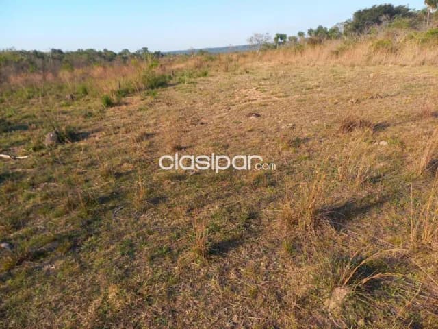 Campo Agrícola/Ganadero en Nueva Colombia - 102 Ha, foto 5