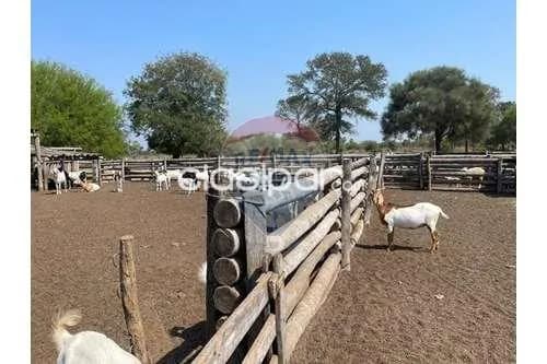 Estancia en fortin caballero-chaco!!, foto 3