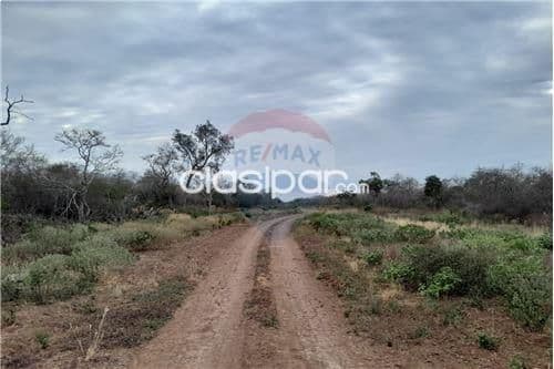 Estancia en venta - colonia soldado guarani!, foto 1