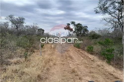 Estancia en venta - colonia soldado guarani!, foto 5