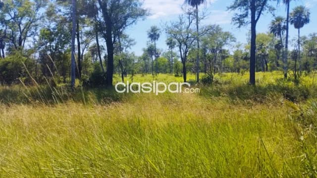 Terreno Industrial sobre Ruta en Villeta - 40 Ha, foto 3