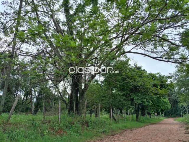 Terreno en venta, en caacupe 2.640 mtrs2 zona potrero poi, foto 3