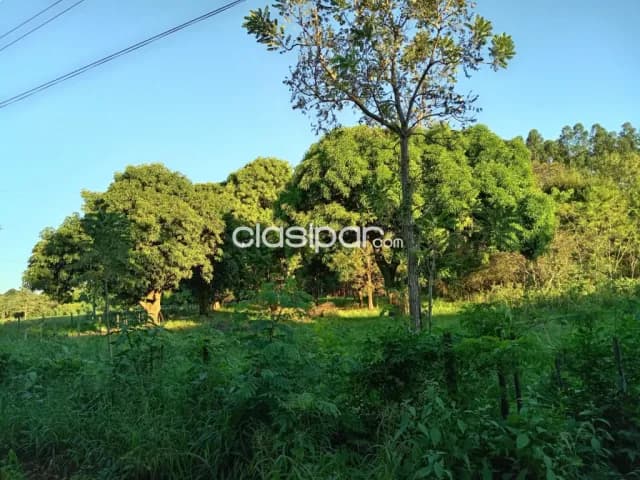 Terreno en venta, en caacupe 2.640 mtrs2 zona potrero poi, foto 5