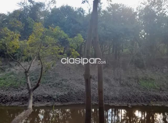Terreno Rural en José Falcón - 12 Ha — foto 4
