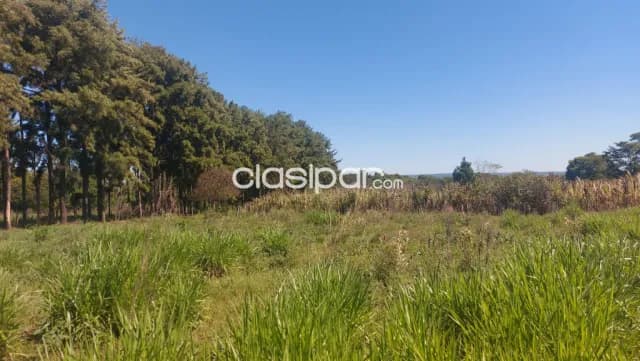 Importante inmueble de 17 hectareas en tobati, con hermosa vista al valle — foto 2