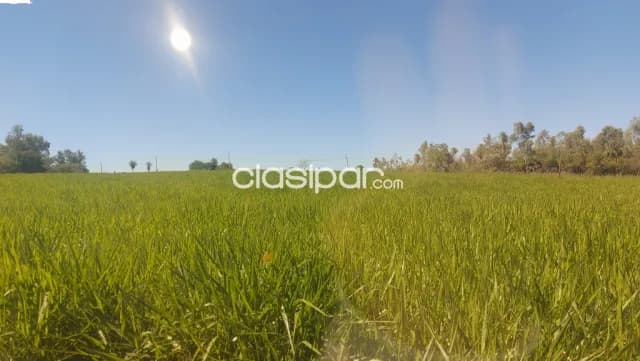 Importante inmueble de 17 hectareas en tobati, con hermosa vista al valle — foto 3