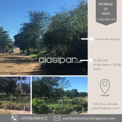 terreno de 13.500 m2 en Villa Elisa, foto 2