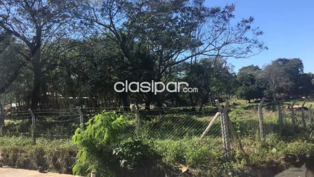 terreno de 13.500 m2 en Villa Elisa, foto 3