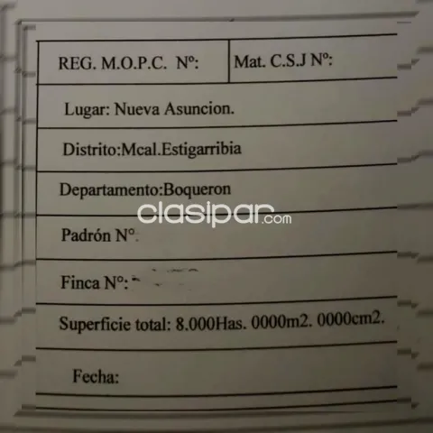 8.000 hectáreas monte sin Palmarés. Chaco Paraguayo 🇵🇾. Vendo Contado o financio. Native, foto 2
