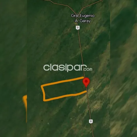 8.000 hectáreas monte sin Palmarés. Chaco Paraguayo 🇵🇾. Vendo Contado o financio. Native, foto 4