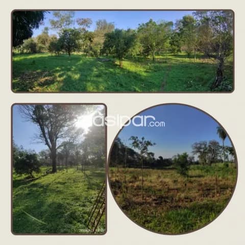 Coronel oviedo - en venta terreno de 3 has - sobre ruta 8 blas garay — foto 4