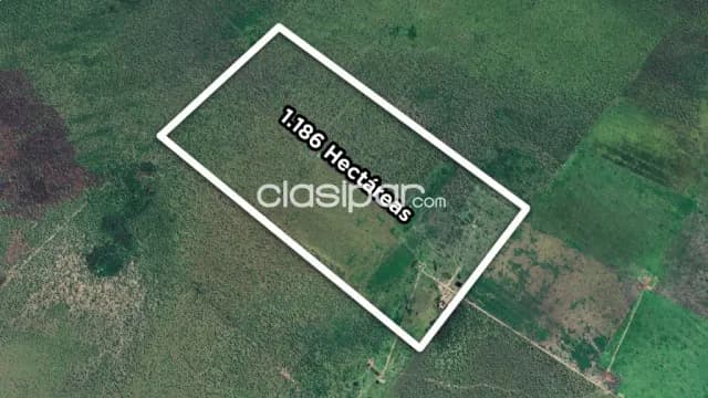 📈gran oportunidad de inversión: 1.190 has. En presidente hayes - benjamín aceval.🌿, foto 3