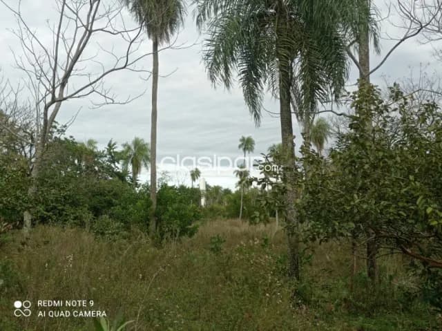 Nuevo Loteamiento en CAACUPE-PIRIBEBUY — foto 4