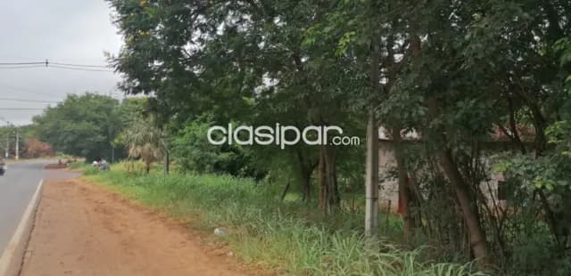 Luque – limpio: 1.877 m2, terreno + tinglado s/ ruta, 250.000 usd, foto 5