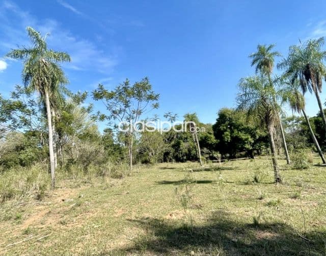 Terreno Rural en Emboscada - 20 Ha — foto 1