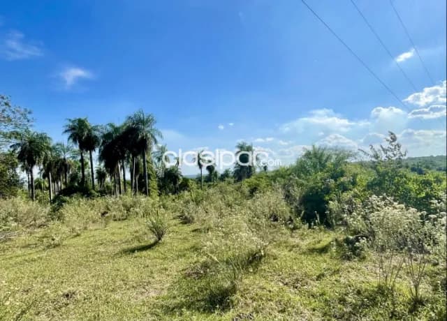 Terreno Rural en Emboscada - 20 Ha — foto 4