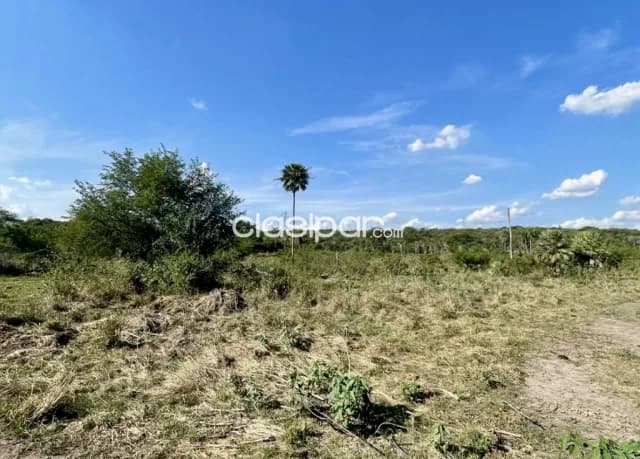 Terreno Rural en Emboscada - 20 Ha — foto 5