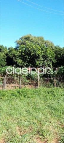 Hermoso terreno con arboles frutales de 360 m2 en guarambare a 12 cuadras de la py027, foto 1
