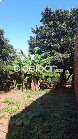 Hermoso terreno con arboles frutales de 360 m2 en guarambare a 12 cuadras de la py027, foto 3