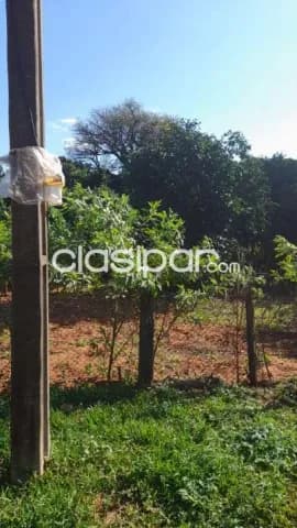 Hermoso terreno con arboles frutales de 360 m2 en guarambare a 12 cuadras de la py027, foto 5