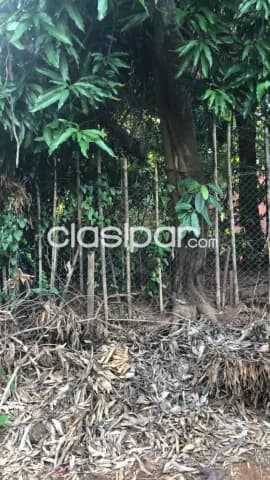 Terreno en esquina. Lambare-barrio santa lucía a 100 mts de la av. Rca. Argentina, foto 3