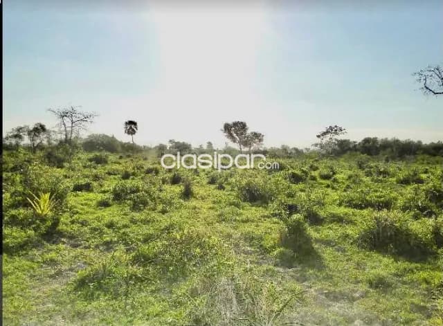 150 ha. Campo en el km. 128 ruta transchaco — foto 2