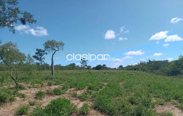 150 ha. Campo en el km. 128 ruta transchaco — foto 3