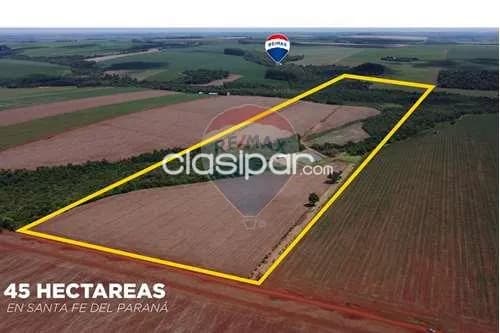 Campo de 45 has en alto parana!! — foto 2
