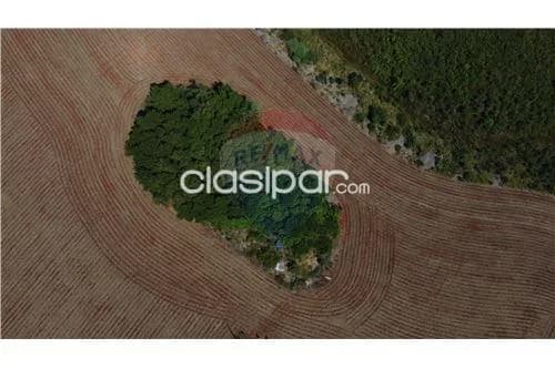 Campo de 45 has en alto parana!! — foto 3