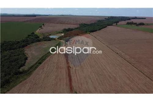 Campo de 45 has en alto parana!! — foto 4