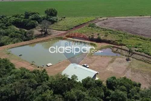 Campo de 45 has en alto parana!! — foto 5