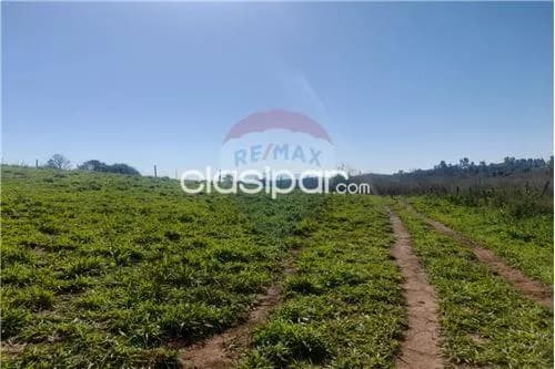 Establecimiento para engorde intensivo en alto parana!!, foto 5