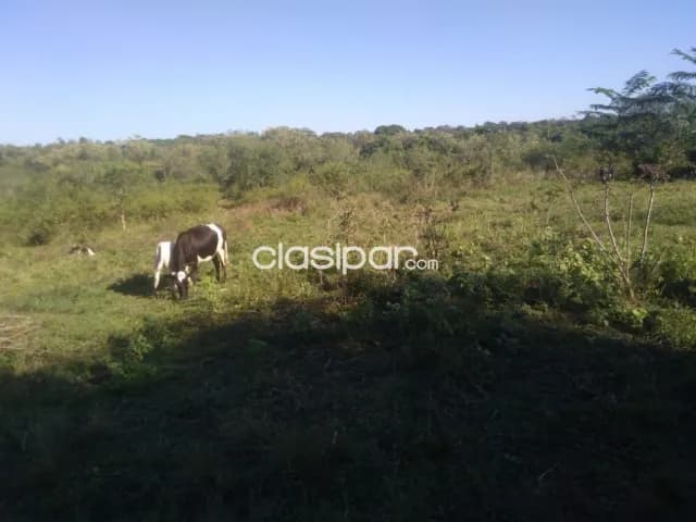 Hermosa propiedad de 3 has con arroyito yaguaron compañía tacuarendy — foto 4