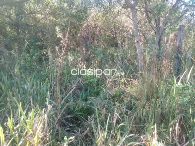Hermosa propiedad de 3 has con arroyito yaguaron compañía tacuarendy — foto 5