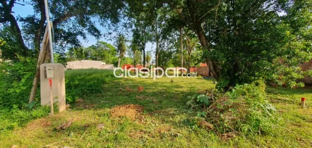 Terrenos en Lambaré zona colegio sek cód. 3670, foto 3