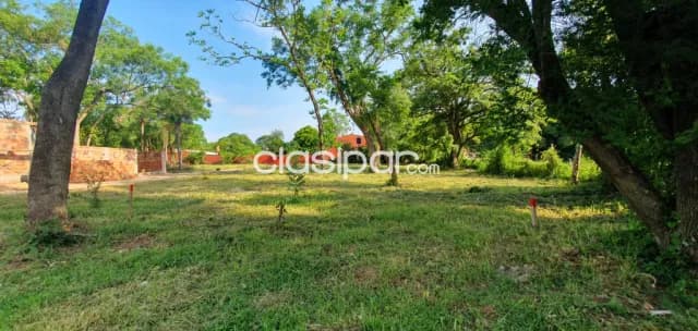 Terrenos en Lambaré zona colegio sek cód. 3670, foto 5