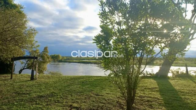 Campo Ganadero En San Pedro Con Costas Al Rio Jejui 100 Ha — foto 3