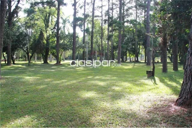 Terreno 21.236 m2 capiata c/acceso directo s/ruta capiata-thompson-ypane p/desarroll, foto 3
