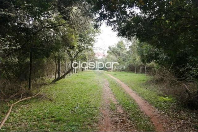 Terreno 21.236 m2 capiata c/acceso directo s/ruta capiata-thompson-ypane p/desarroll, foto 4